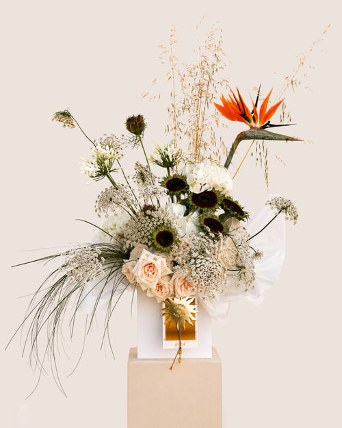 fleur du soleil