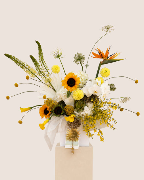 fleur du soleil