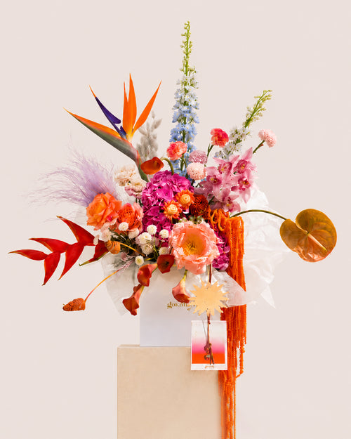 fleur du soleil